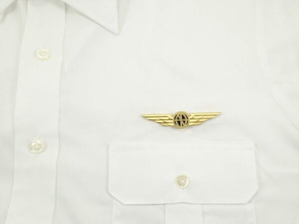 Luso Aviation Pilot Wings Aviator's Uniform Shirt Lapel Pin - Image 4