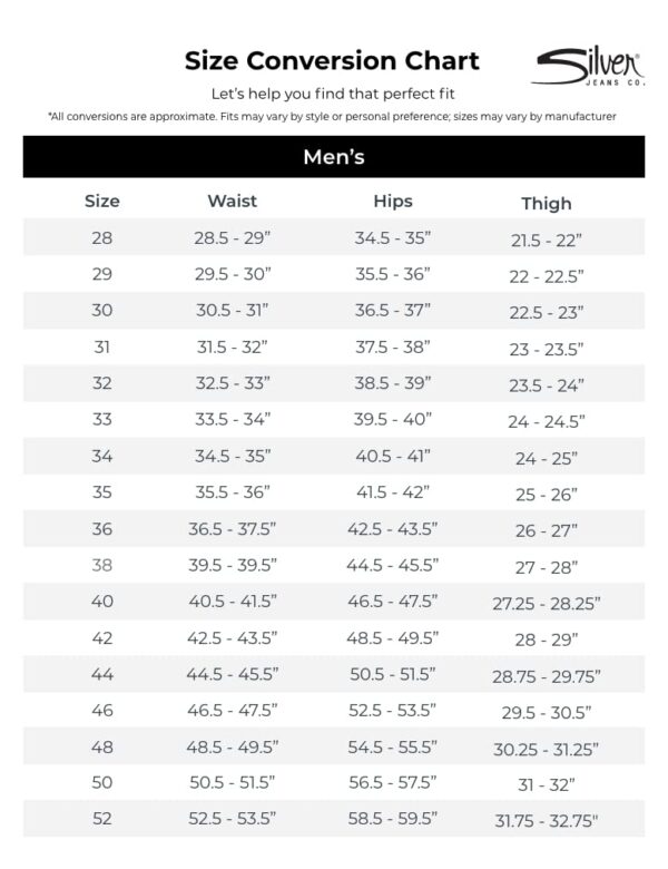 Silver Jeans Men's Allan Classic Fit Slim Leg - Image 6
